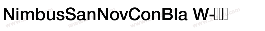 NimbusSanNovConBla W字体转换 NimbusSanNovConBla W字体转换